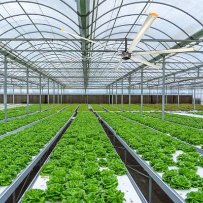 1500W 220v Industrielle Decke HVLS Ventilator für große Räume 6,1m 7,3m 12ft 10ft Durchmesser