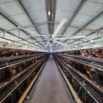 1500W 220v Industrielle Decke HVLS Ventilator für große Räume 6,1m 7,3m 12ft 10ft Durchmesser