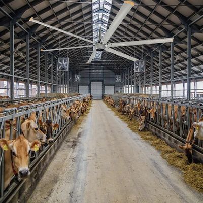 800m3/h Luftvolumen 6,1-7,3M Hohe Volumen-Niedriggeschwindigkeitsventilationsventilator für die Luftzirkulation