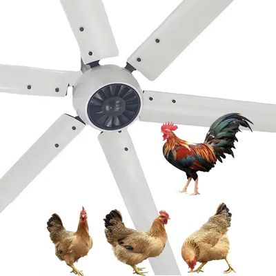 Ruhiger 1,5 kW 24 Fuß schneller HVLS-Großer elektrischer Deckenventilator mit PMSM-Motor