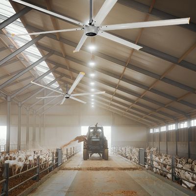 Ruhiger 1,5 kW 24 Fuß schneller HVLS-Großer elektrischer Deckenventilator mit PMSM-Motor