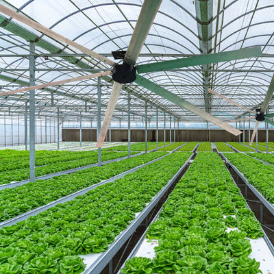 Leistungsstarker 1.5kw Induktions-HVLS-Bldc-Ventilator für 10ft 12ft 16ft 18ft Big Wind Workshop