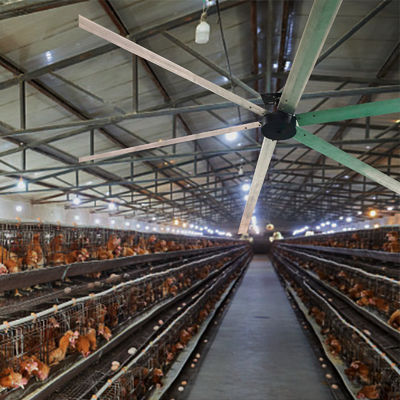 Leistungsstarker 1.5kw Induktions-HVLS-Bldc-Ventilator für 10ft 12ft 16ft 18ft Big Wind Workshop