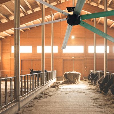 Ruhiger und leistungsfähiger 24ft 1500W BLDC Kühlventilator Motor für industrielle HVLS Deckenventilator