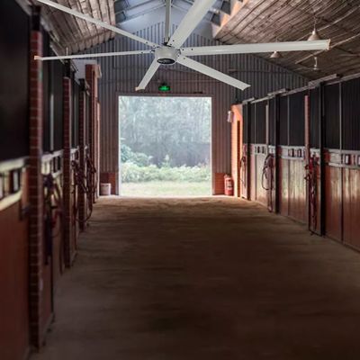 24ft 13ft 10ft 1500w 750w 220v 380v Motor für einen besseren Luftstrom in beliebten Fitnessraumventilatoren
